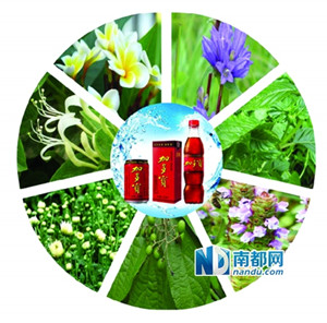 jia duobao  2jpg_.jpg