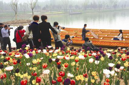 binzhou jpg.jpg