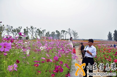 沂蒙樂~1_副本.jpg