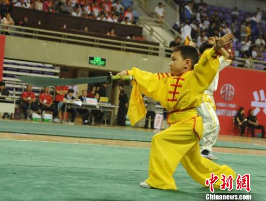 wushu jpg.jpg